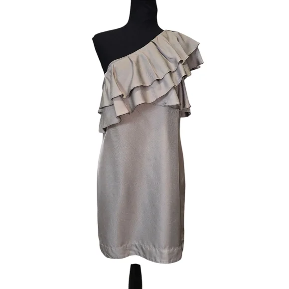 ⭐️Banana Republic One Shoulder Champagne  Ruffled Dress Sz 10 - Picture 2 of 10
